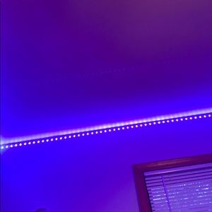 Meet your Posher, Presley